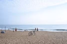 Xứ 'hoa vàng cỏ xanh' tiếp tục dừng lễ hội, vui chơi, du lịch