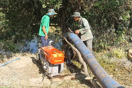 Tây Nguyên nỗ lực chống hạn