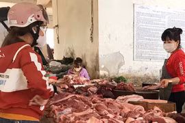 Giết mổ gia súc, gia cầm: Khó kiểm soát