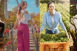Lý Nhã Kỳ, Nathan Lee và loạt sao Việt sở hữu khu vườn triệu đô