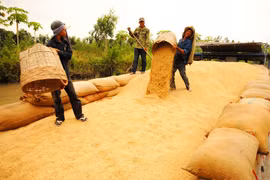 Khẩn trương giải tỏa gạo tại cảng