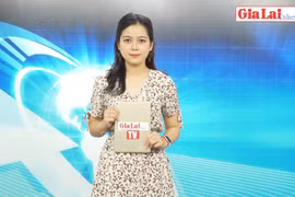 Gia Lai 48h: Các nhà hàng, quán kinh doanh dịch vụ ăn uống, cà phê được hoạt động