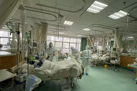 Tình báo Mỹ biết Covid-19 bùng phát hơn một tháng trước khi Trung Quốc xác nhận?