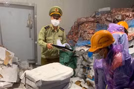 NÓNG: Phát hiện 72 tấn lòng lợn bốc mùi trị giá hơn 1 tỷ đồng