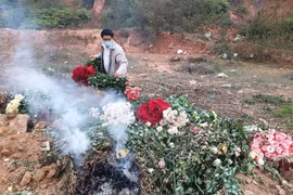 Hoa tươi Đà Lạt khốn khó vì đại dịch