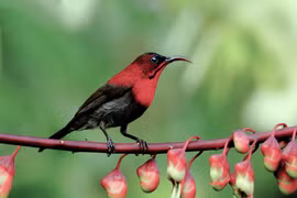 Vẻ đẹp của sự vắng lặng