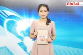 Gia Lai 48h: Đảm bảo hàng hóa với phương châm "4 tại chỗ, 3 sẵn sàng"