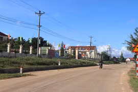 Sơn Lang khởi sắc