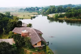 Ngôi nhà hình chiếc lá giữa rừng cây ở ngoại thành Hà Nội