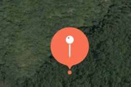 Hàng chục cây gỗ ở xã Hà Đông bị chặt hạ trái phép