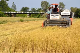 Màu xanh trên vùng đất chết