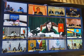 7 quốc gia ASEAN đã ghi nhận trường hợp nhiễm virus Zika