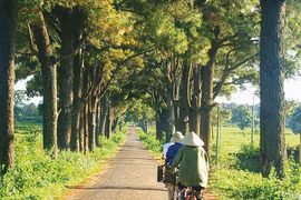 Định hướng phát triển cho du lịch Gia Lai