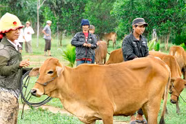 "Đòn bẩy" cho xã nghèo Đak Pling