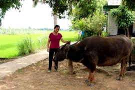 Kỳ 2: Làng Thái Bình dưới chân núi Chư Mom Ray