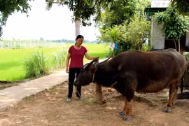 Kỳ 2: Làng Thái Bình dưới chân núi Chư Mom Ray