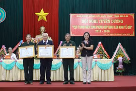 Tổng kết phong trào Cựu thanh niên xung phong giúp nhau làm kinh tế giỏi