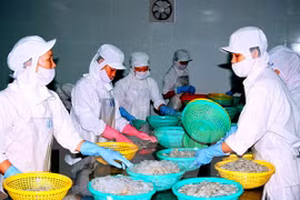 Hiệp định Thương mại tự do Việt Nam-EU: Sẵn sàng cho cơ hội mới