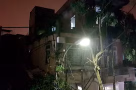 Bão số 4 làm 5 người chết, 10 người mất tích 26 người bị thương