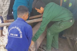 Hơn chục người khiêng quả bom 400 kg khỏi công trình