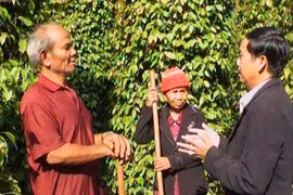 "Cây đại thụ" của làng Chư Bố II