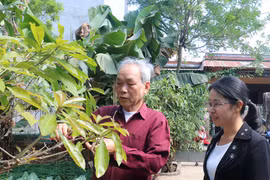 Đổi mới và nâng cao chất lượng sinh hoạt chi bộ