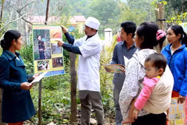 Bệnh sốt rét đang có nguy cơ bùng phát trở lại tại Việt Nam