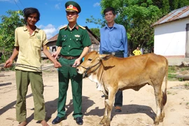 Hỗ trợ các gia đình có hoàn cảnh khó khăn tại Kbang và An Khê