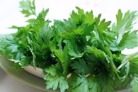 Tác dụng phụ đáng sợ của rau ngải cứu rất nhiều người chưa biết