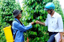 Sức bật từ chương trình nông thôn mới