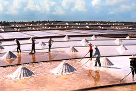 Miễn thuế thu nhập cá nhân đối với 14 khoản thu