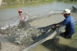 Quy định sử dụng doanh thu phí bảo hiểm nông nghiệp