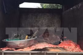 Phát hiện 4 tấn da trâu, bò ướp muối không rõ nguồn gốc