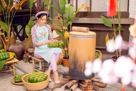 Ngắm Hoa hậu biển Ninh Hoàng Ngân với áo dài cách tân đón Tết