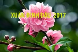 Đáp ứng tối đa nhu cầu thông tin liên lạc dịp Tết Nguyên đán 2017