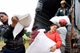 Xuất cấp hơn 600 tấn gạo cho tỉnh Gia Lai