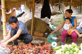 Ngược rẻo cao "săn" hàng Tết