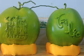 Dừa in hình gà cả triệu đồng/trái 'cháy hàng' dịp cận Tết Đinh Dậu 2017