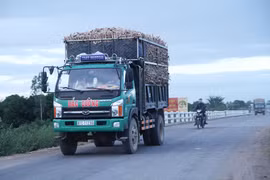 Cảnh báo tình trạng xe quá khổ, quá tải