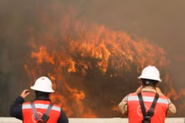 Cháy rừng hủy hoại 100 ngôi nhà tại thành phố Di sản Thế giới của Chile