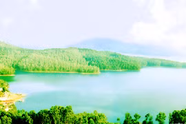 Kỳ tích "đại thủy nông" Phú Ninh