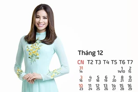 12 mỹ nhân Việt mặc áo dài thêu hoa trong ảnh lịch