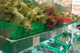 Thành phố Pleiku: Thêm một cửa hàng rau sạch phục vụ Tết