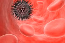 Nam giới ở Việt Nam ung thư nhiều hơn nữ