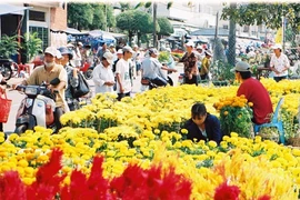 Nếp sống khoa học ngày Tết