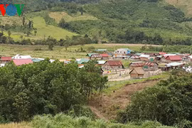 Làng tái định cư Brang vào Xuân