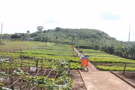 Đảm bảo hậu cần cho những người lính pháo phòng không