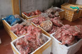 Hơn 1,2 tấn thịt, nội tạng động vật đã bốc mùi tại cơ sở đông lạnh