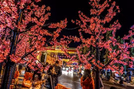 Rực rỡ những sắc màu Tết châu Á