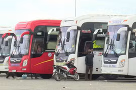 Gia Lai: Thu hồi phù hiệu 67 phương tiện vận tải